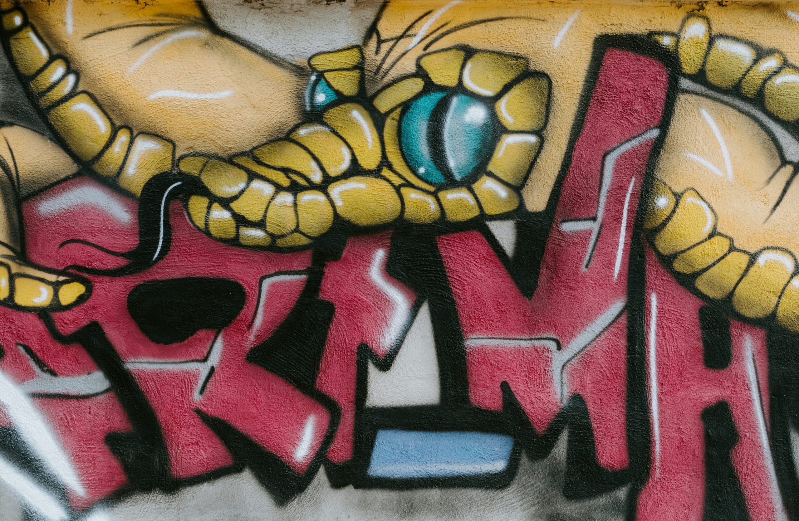 Raw Talent